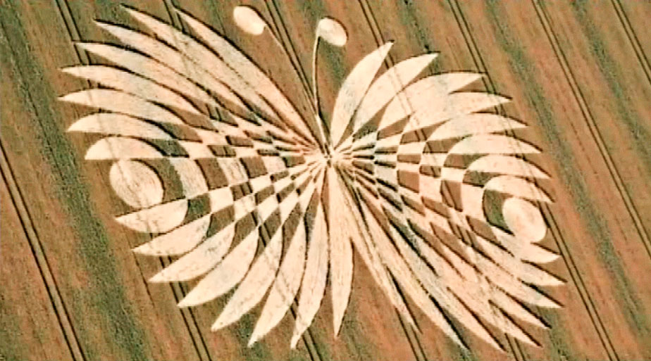Agroglyphe