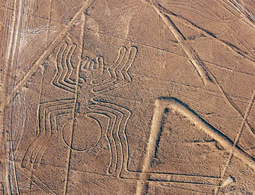 Araignée de Nazca