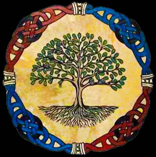 Omoloko - l'arbre sacré Iroko