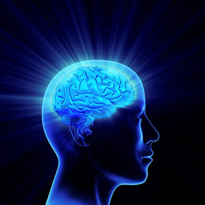 Big Bang du cerveau