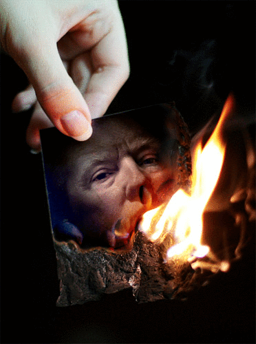 Brûler Donald Trump