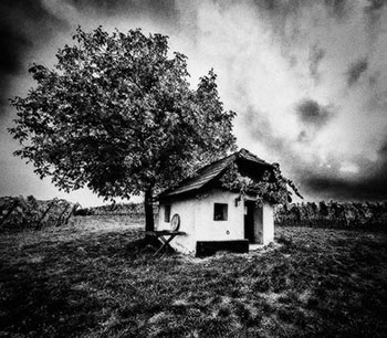 Cabane près des vignes