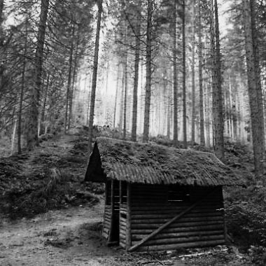 Cabane abandonnée dans les bois