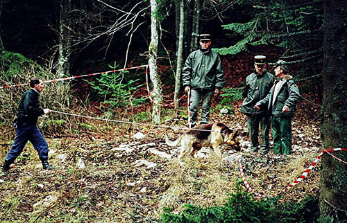 Gendarmes dans la clairière du plateau du Vercors recherches victimes temple solaire