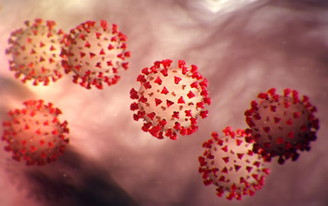 Coronavirus