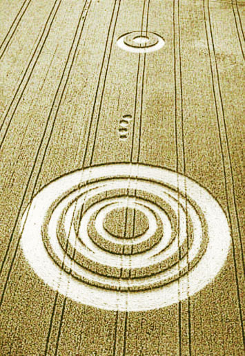 Crop Circle Newhouse Farm, près de Acton Turnville