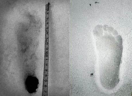 Traces de Yéti