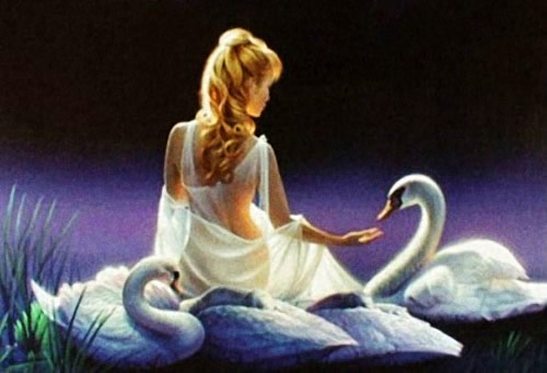 Femme cygne