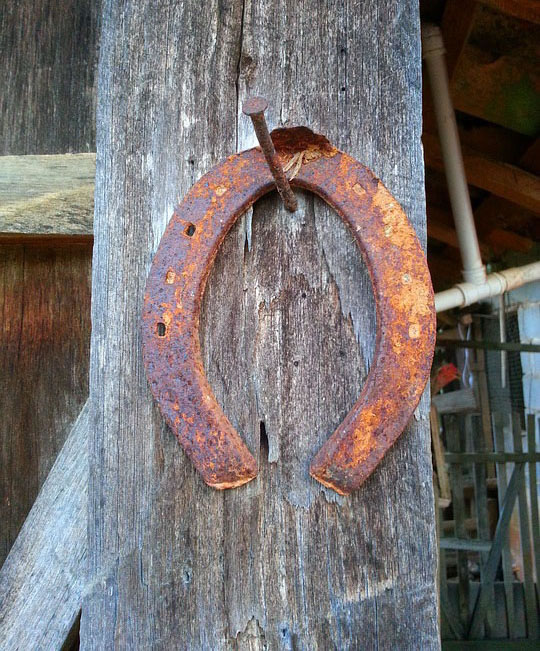 Fer à cheval - protection