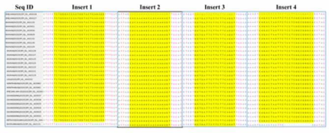 Fig.S2