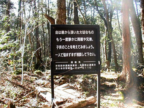 Forêt des suicidés