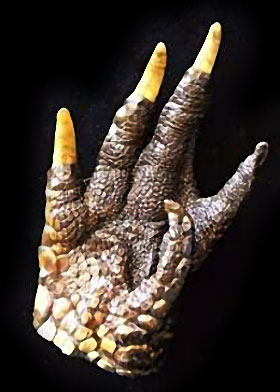 Talisman Hoodoo en griffes d'alligator
