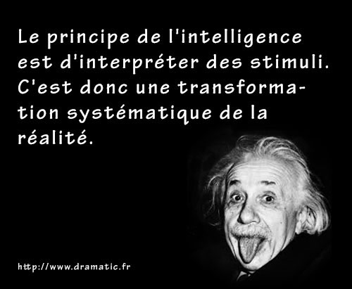 L'intelligence