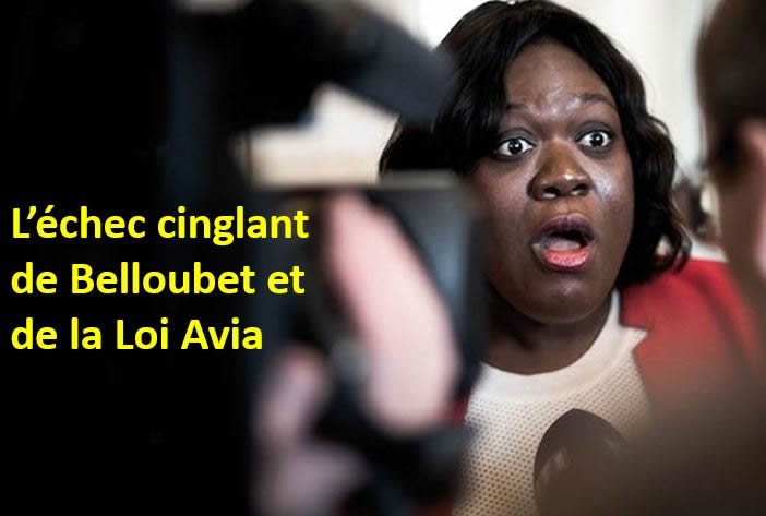 Loi Avia