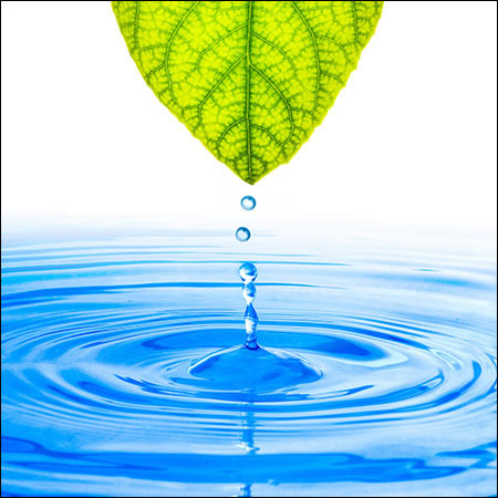 Image de Les divinités associées à l'eau