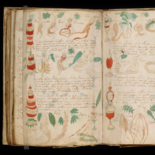 La manuscrit de Voynich