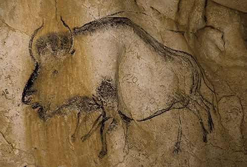 Peinture de bison dans une grotte