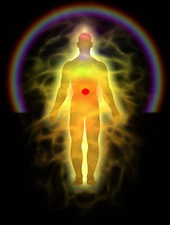 Plexus solaire