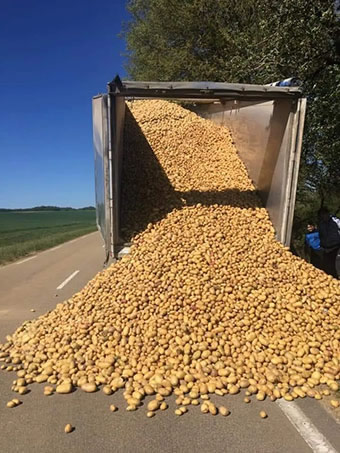 Livraison 30 tonnes de pommes de terre