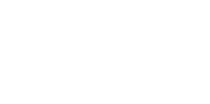 Projet Pegasus