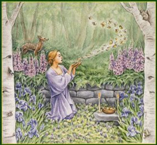 Propriétés magiques des plantes