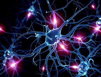 Réseau de neurones