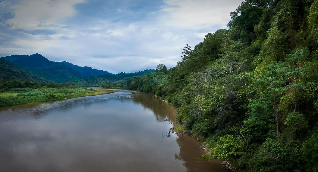 Rivière Térraba