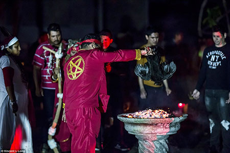 Sacrifice d'un poulet lors d'une messe noire au mexique