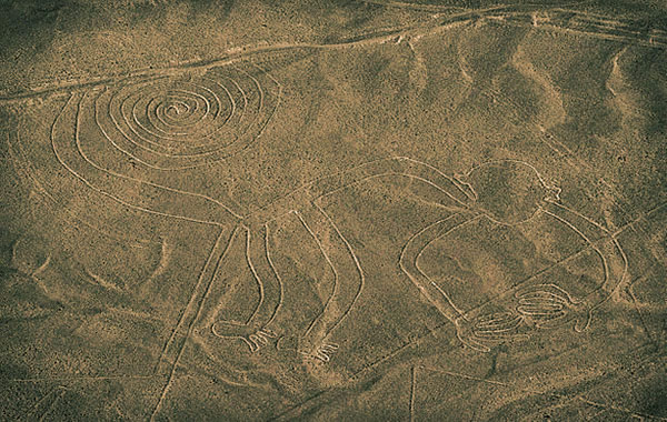 Le singe de Nazca