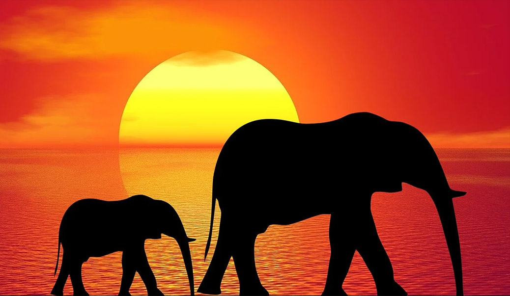 Sorcellerie en Afrique