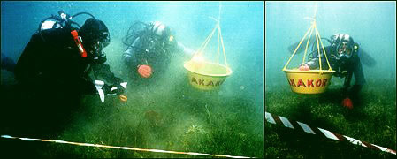 Plongueurs lac Titicaca