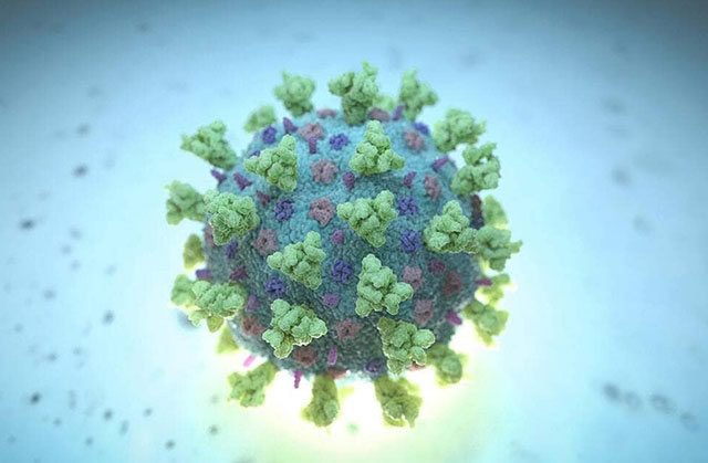 Coronavirus
