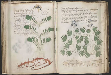 Manuscrit de Voynich