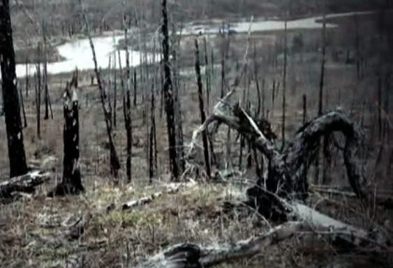 Vallée de la mort en Yakoutie