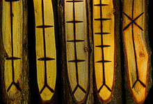 L’alphabet Ogham