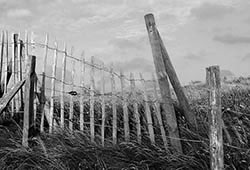 Faire tomber les barrières