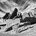 Chaco Canyon