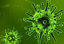 Le coronavirus n'est pas un virus de l'homme