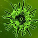 Le coronavirus n'est pas un virus de l'homme