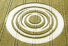 Les crop-circles