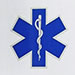 Theories medicales