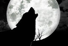 Histoires de loups-garous