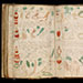 Le Manuscrit de Voynich