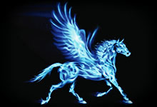 Le projet Pegasus