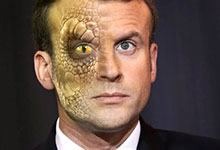 Les reptiliens